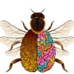 Bee with colorful brain abdomen